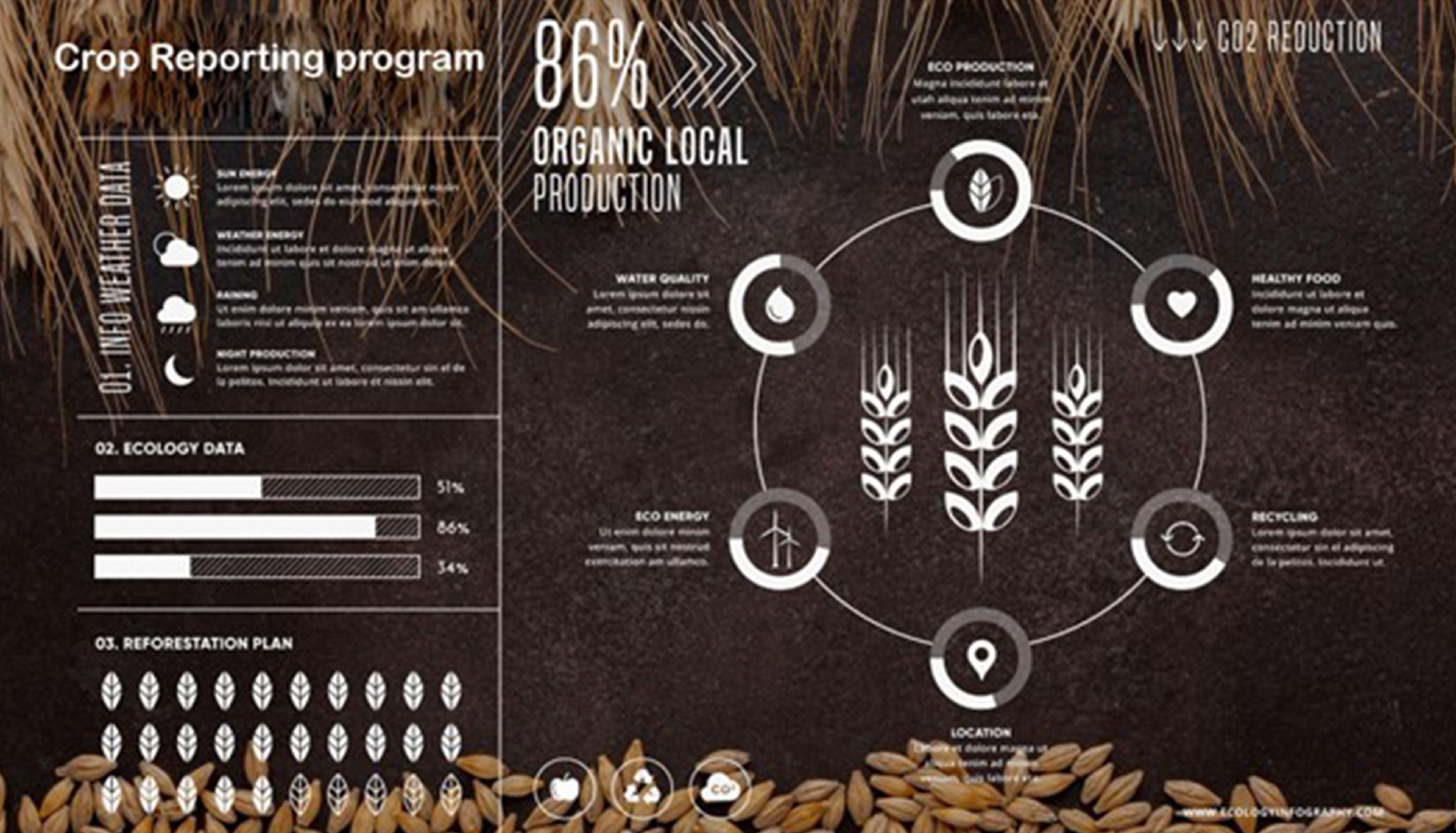 Most Crop Prices Expected to Tumble