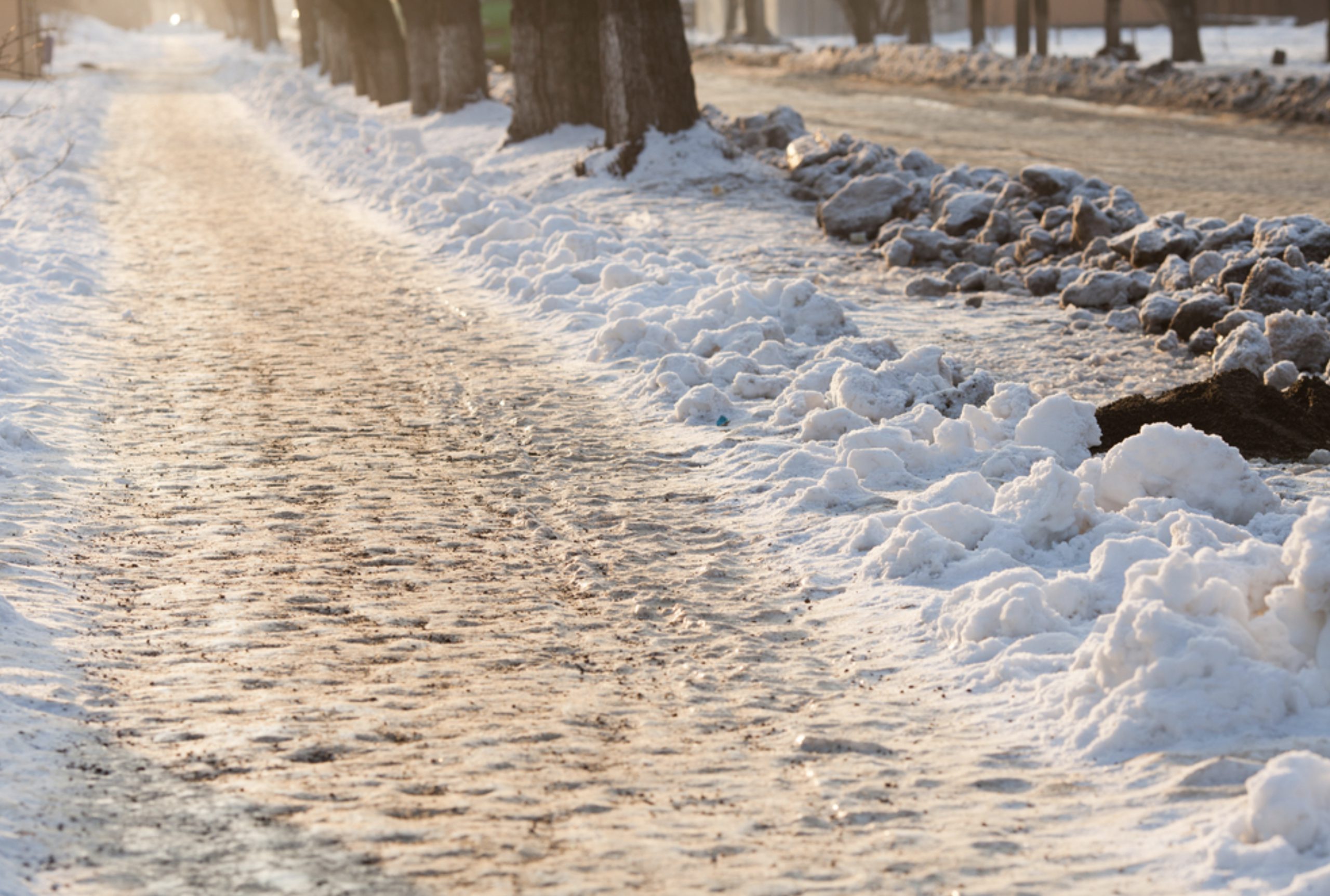 Is beet juice an alternative to road salt?