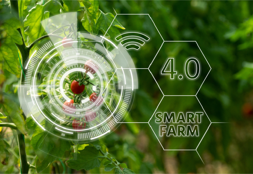 Smart Farming