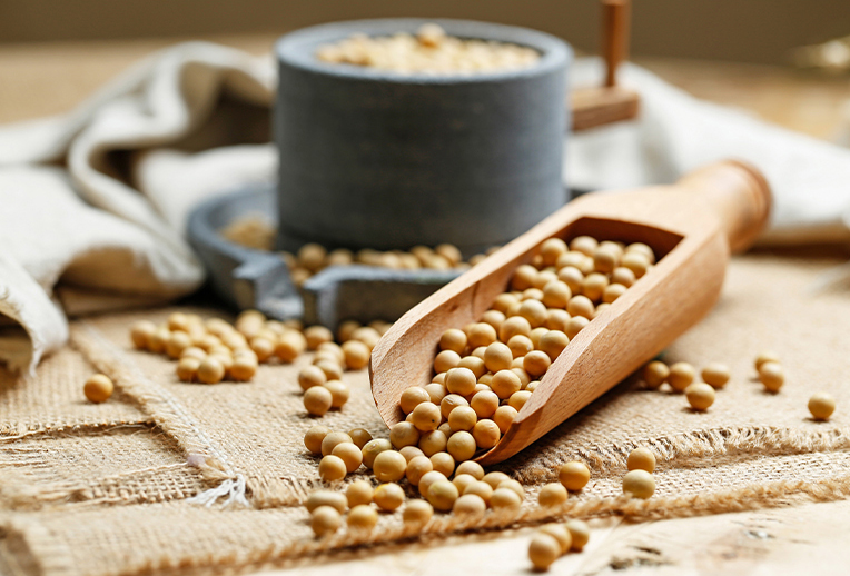 Soy Canada launches sustainability verification program