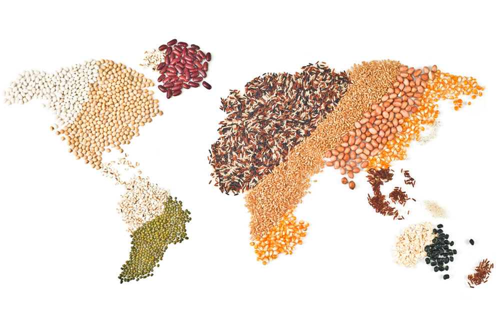 What is the role of agriculture in international trade?